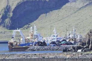 Heimaey - Fischtrawler im Hafen