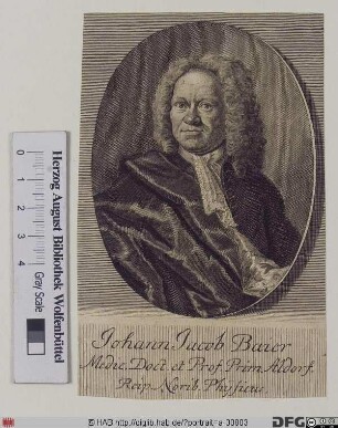 Bildnis Johann Jacob Baier d. Ä.