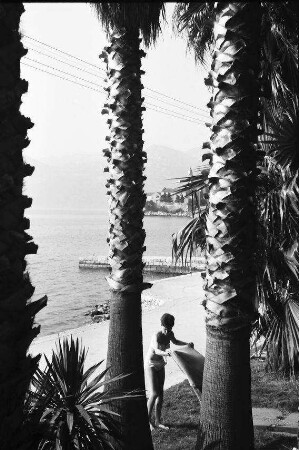 Lopud: Strand, Durchblick durch Palmenhain