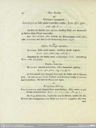 38. Colchicium autumnale
