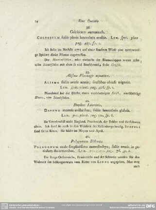 38. Colchicium autumnale