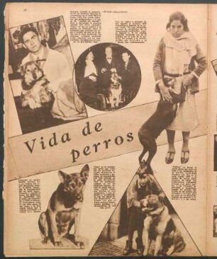 Vida de perros [Fotografías]