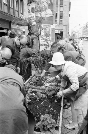 Verschönerung des Stadtbildes durch Bepflanzung der Kaiserstraße mit Blumen in Blumenkübeln.