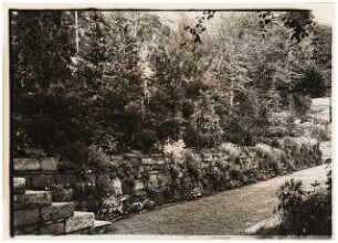 Garten Bergius, Heidelberg: Trockenmauer