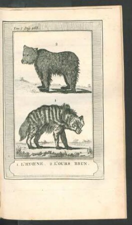 Tafel: L'Hyaene, l'Ours brun.
