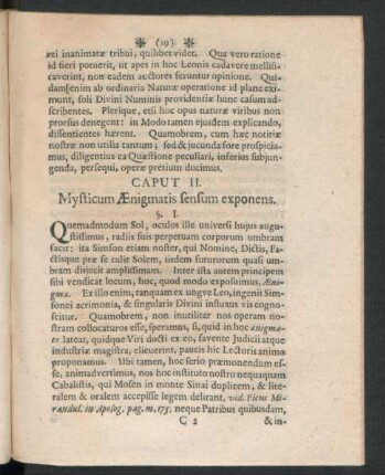Caput II. Mysticum Aenigmatis sensum exponens.