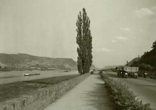 Rheinuferstraße zwischen Bad Breisig und Brohl