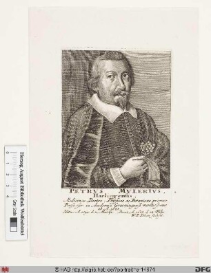 Bildnis Petrus Mulerius