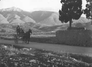 Pferdefuhrwerk : Drei Männer fahren auf einem Pferdekarren eine Straße am Fuße des Afentis (1476m) entlang.