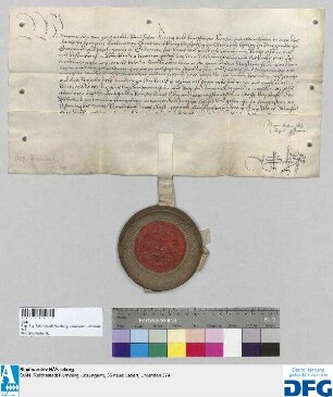 König Maximilian I. stellt der Stadt Nürnberg Quittung aus über 500 fl. rhein. Stadtsteuer für das Jahr 1510.