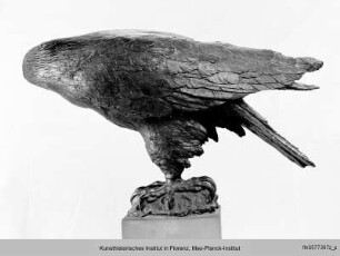 Adler