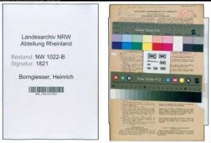 Entnazifizierung Heinrich Borngiesser , geb. 05.11.1893 (Bankangestellter)