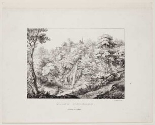Stift Neuburg von Osten mit kleinem Wasserfall