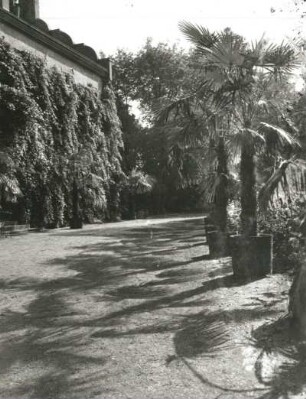 Palmengarten