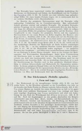 II. Das Rückenmark (Medulla spinalis)