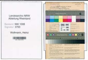 Entnazifizierung Heinz Wollmann , geb. 01.01.1911 (Schreiner)