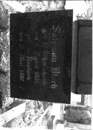 Grabstein 2312 (Index: 100097458) Maße HxBxT: 230x41x41 cm: Grabstein 2312B