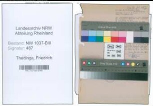 Entnazifizierung Friedrich Thedinga , geb. 14.12.1885 ()