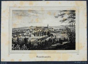 Ansicht von Dippoldiswalde mit Kirche, aus der Zeitschrift Saxonia