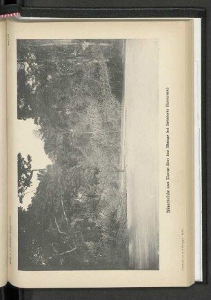 Hängebrücke aus Lianen über den Mungo bei Kombone (Kamerun).