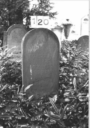 Grabstein 120 (Index: 100114287) Material: Sandstein Zustand: stark verwittert, Stein auf Sockel liegend Maße HxBxT: 63x33x14 cm Beschreibung: Stele, Sockel, Rundbogenabschluß Besonderheit: Kindergrab: Grabstein 120