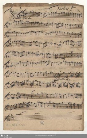 Violino 1mo