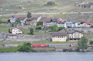 Cully - Intercity am Ufer