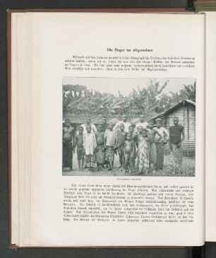 Die Neger im allgemeinen