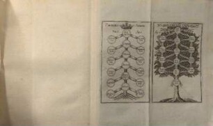 Porphyrii arbor.