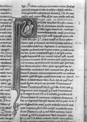 Commentarius in epistolas S. Pauli / Kommentar zu den Paulusbriefen — Initial P mit Vogel-Drachenwesen, Folio fol. 152 v