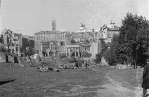 Forum Romanum : Blick auf das Forum Romanum