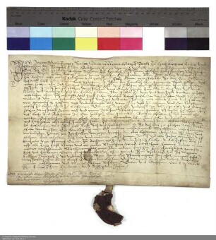 Verleihung einer Wiese in Haimbach durch Johann Wolfgang Schott von Memmelsdorf, Kellerer des Klosters Fulda, an Balthasar Schlatt aus Haimbach