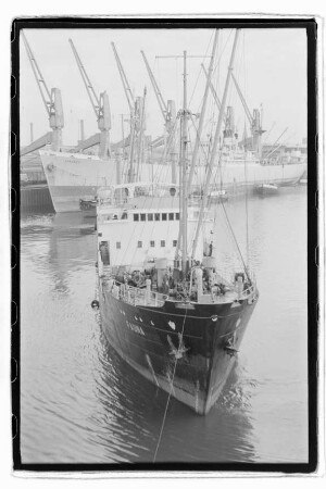 Fauna, Neptun.- Dampfschifffahrts-Gesellschaft „Neptun“, Neptun Linie, D.G. "Neptun", Bremen