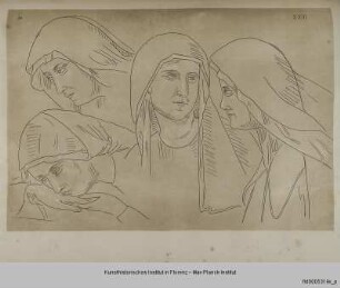 Köpfe von vier Klarissinnen aus dem Giotto-Zyklus von Assisi (Szene XXIII)