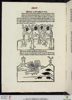 Liber Quartus