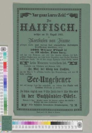 Der Haifisch