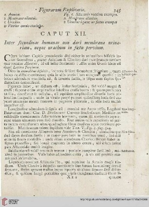 Caput XII: Inter secundinas humanas non dari membrana urinariam, neque urachum in foetu pervium