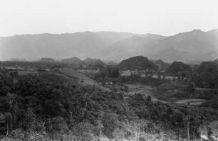 Urwald bedeckte Kalkhügel : Bergige Landschaft mit Terrassenfeldern und Urwald