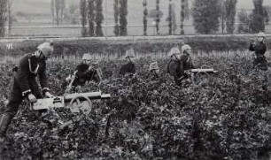 Kaisermanöver