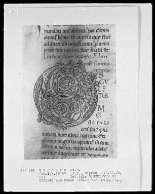 Lateinische Bibel — Initiale O (sculetur me osculo)