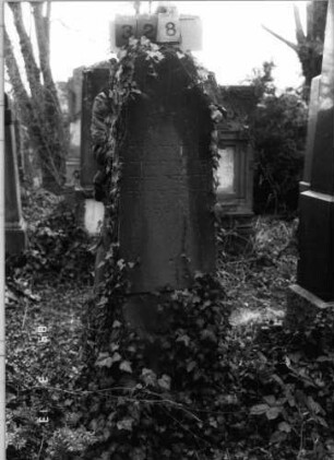 Grabstein 328 (Index: 100093117) Zustand: mit Efeu bewachsen Maße HxBxT: 167x39x25 cm: Grabstein 328