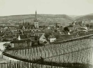 Bad Neuenahr-Ahrweiler. Stadtansicht mit Pfarrkirche St. Laurentius (1269 Grundsteinlegung). Blick über einem Weinberg