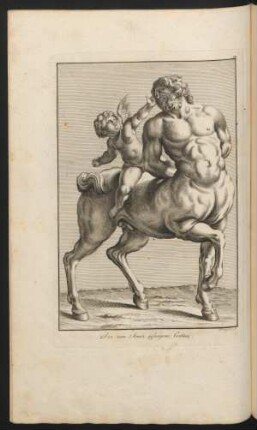 Der vom Amor gefangene Centaur