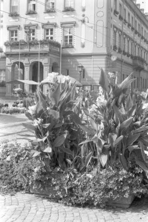 BNN-Leserbrief zu in der Fußgängerzone in der Pfinztalstraße aufgestellten, durch Fußgänger zerstörten Blumenkübeln