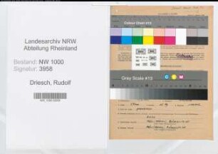 Entnazifizierung Rudolf Driesch, geb. 17.08.1905 (Techn.Inspektor)