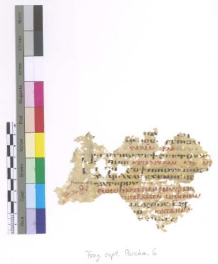 Ps. CXXXI, 9; Lk. XII, 32