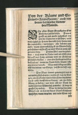 Von der Bäume und Gesträuche Kranckheiten/ auch von ...