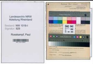Entnazifizierung Paul Rosskampf , geb. 11.05.1890 (Drogist)