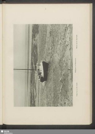Halligboot im Wattenmeer