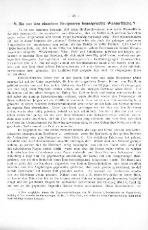 V. Die von einzelnen Brutpaaren beanspruchte Wasserfläche.